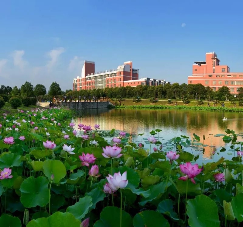 河南理工大学荷花湖与红墙教学楼